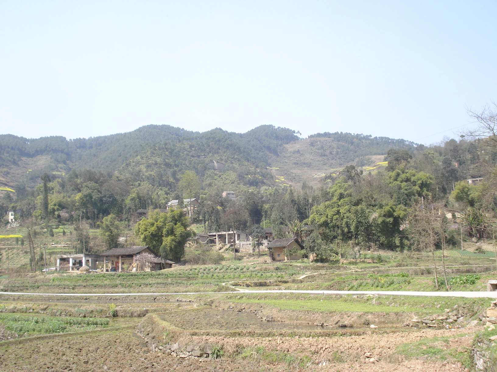 DSC03196.JPG