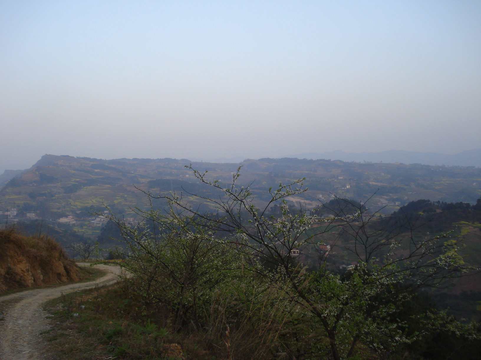 DSC03225.JPG