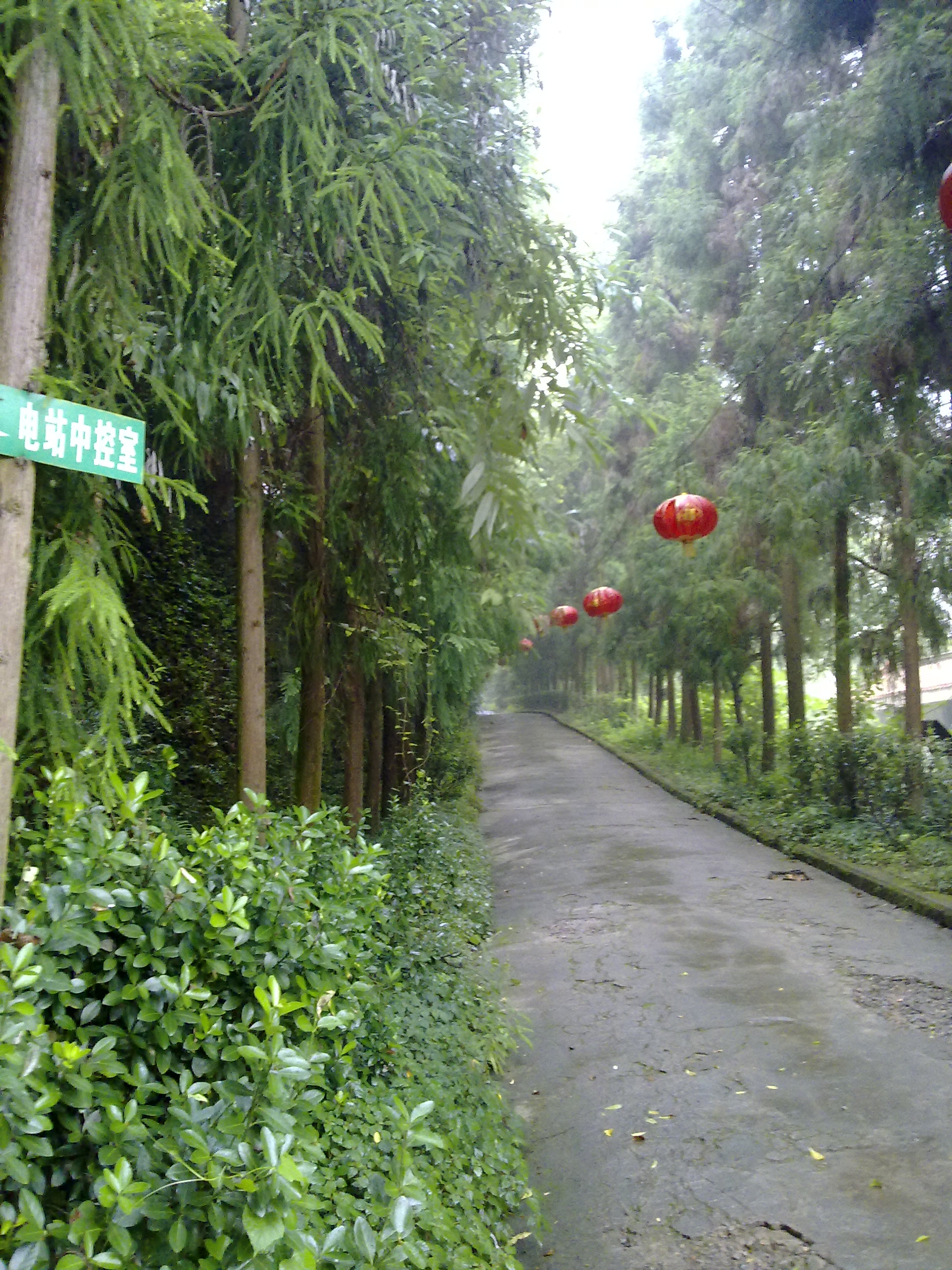 20090826153.jpg