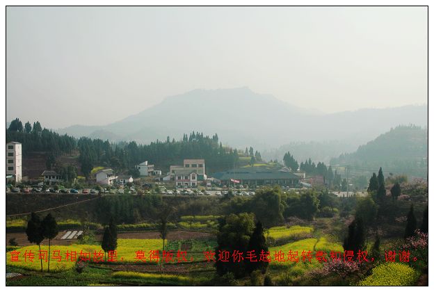 һ 274.jpg