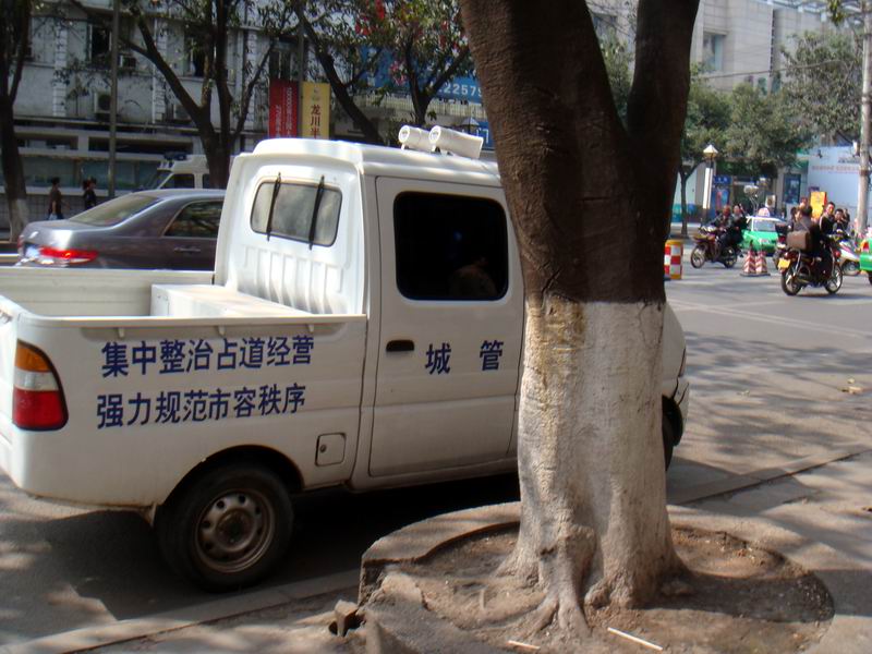 DSC08963.jpg