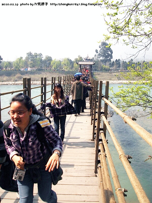 P1010231.jpg