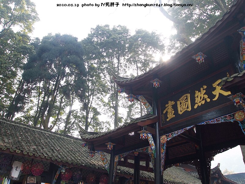 P1010308.jpg