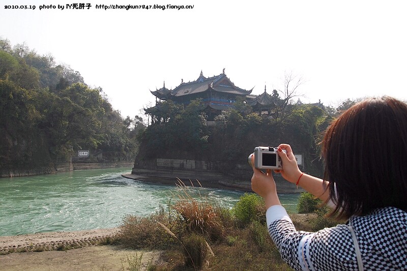 P1010204.jpg