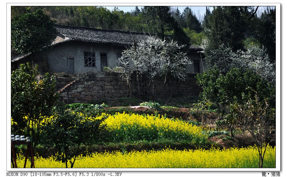 Ƭ 0171.jpg