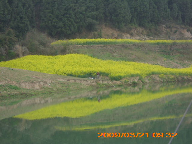 DSCI0019.JPG