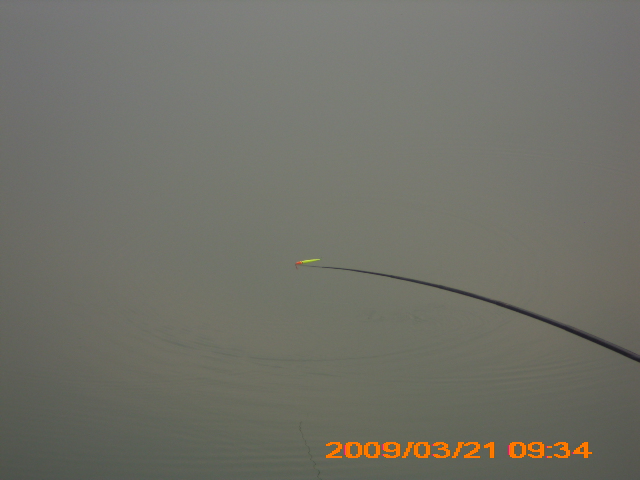 DSCI0022.JPG