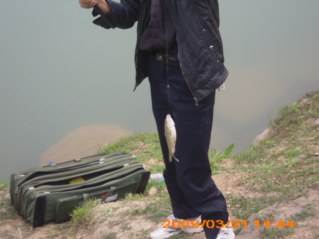 DSCI0028.JPG