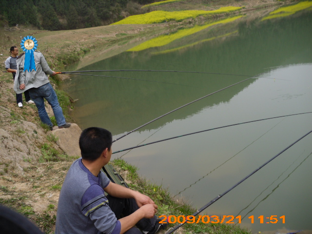 DSCI0032.jpg