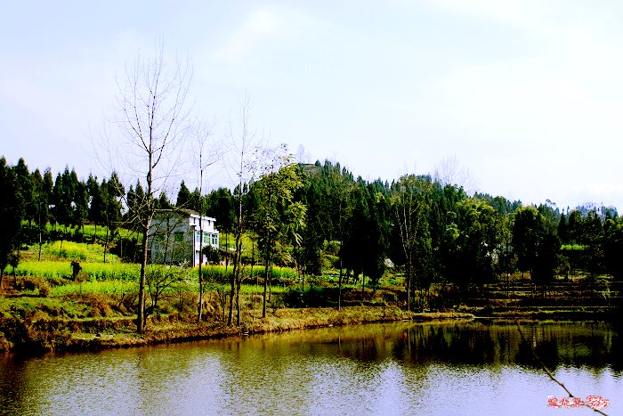 DSC09917.JPG