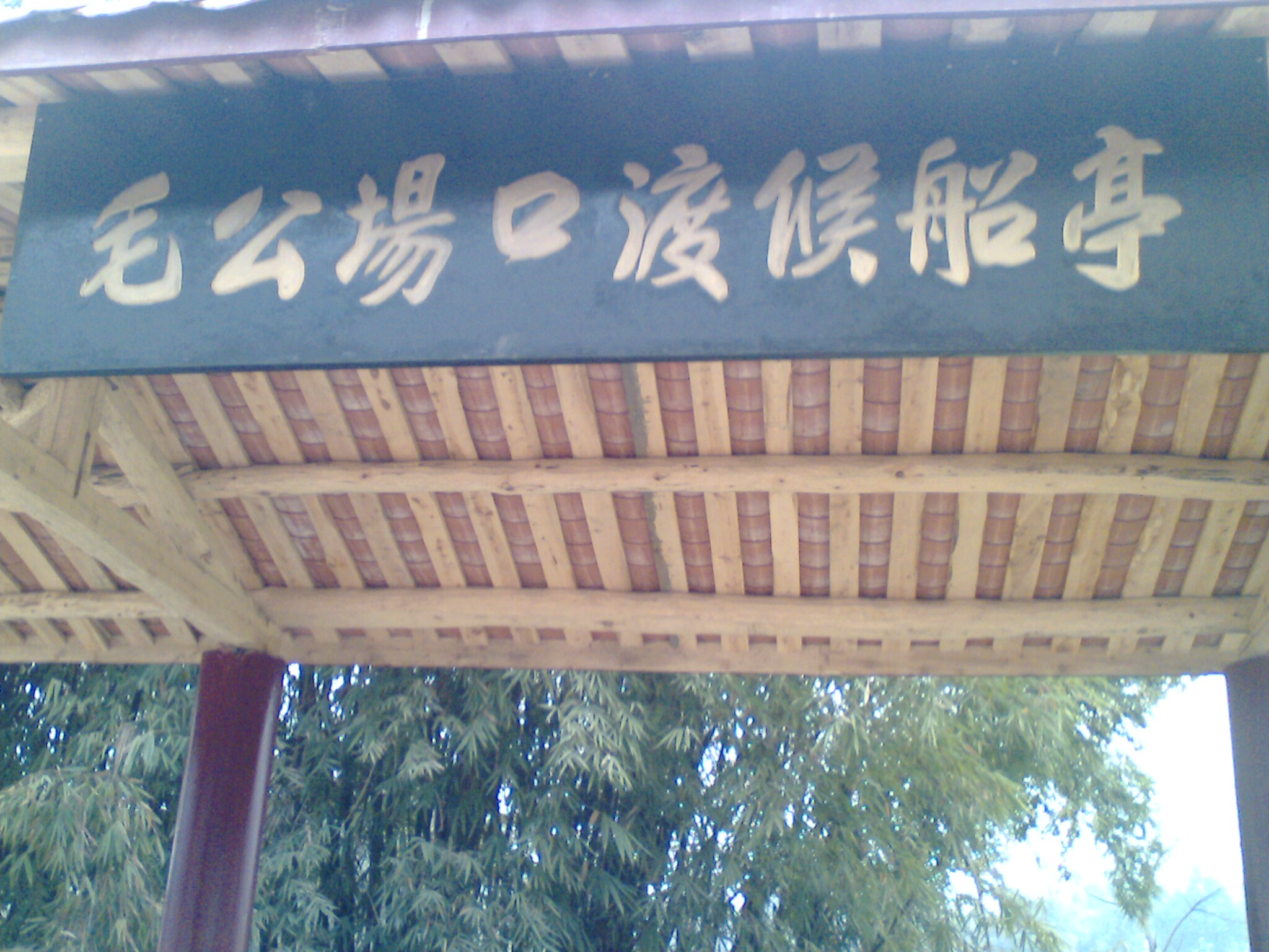IMG0457A.jpg
