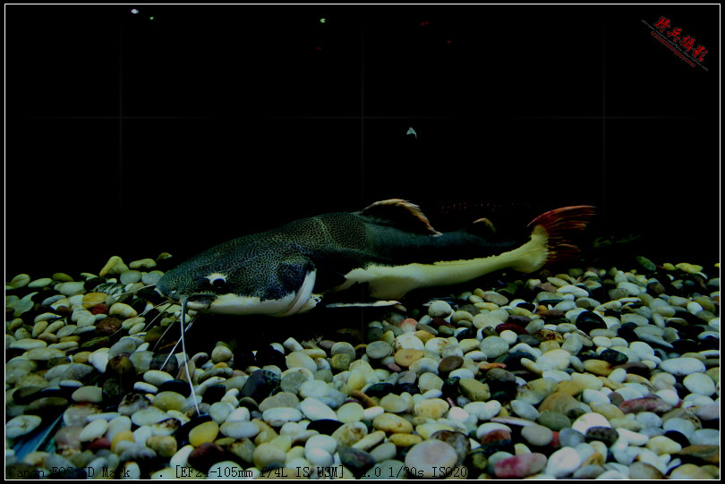 10b.jpg