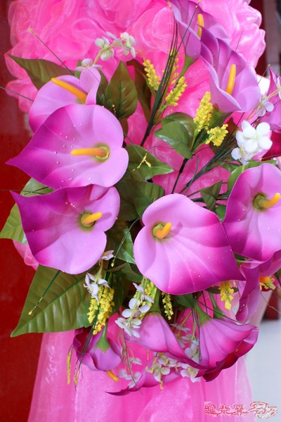 DSC01907.JPG