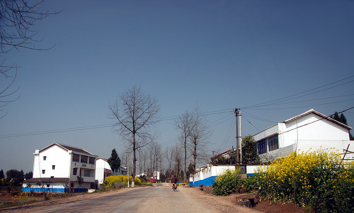 DSC_0424.jpg