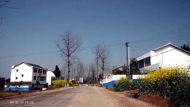 DSC_0434.jpg