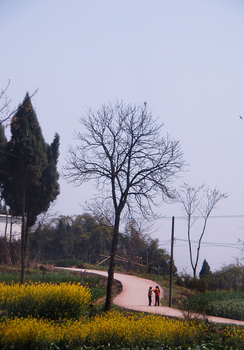 DSC_0442.jpg