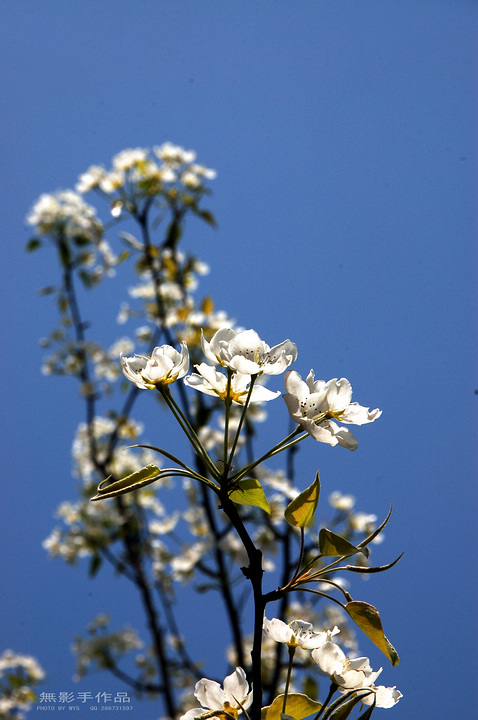 DSC_0457.jpg
