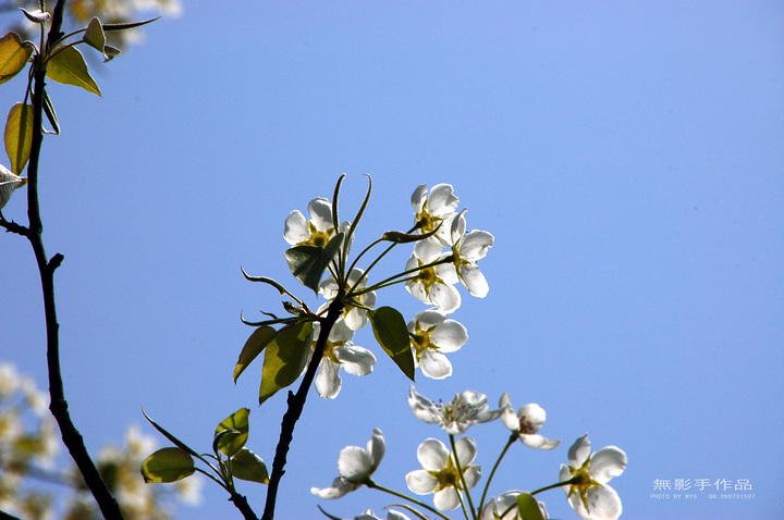DSC_0474.jpg