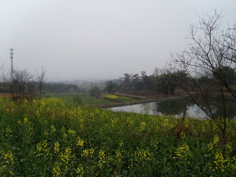 SL372671.JPG
