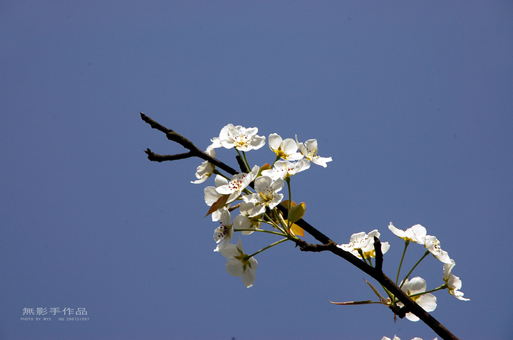 DSC_0481.jpg