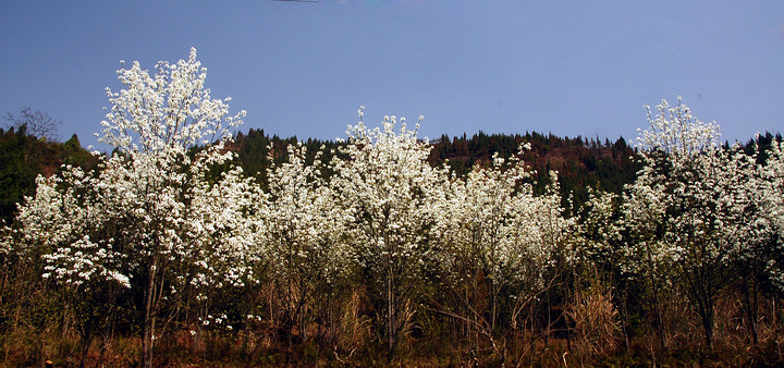 DSC_0482.jpg