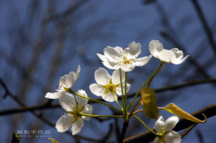 DSC_0492.jpg