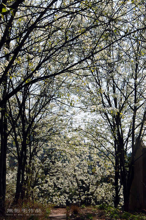 DSC_0497.jpg