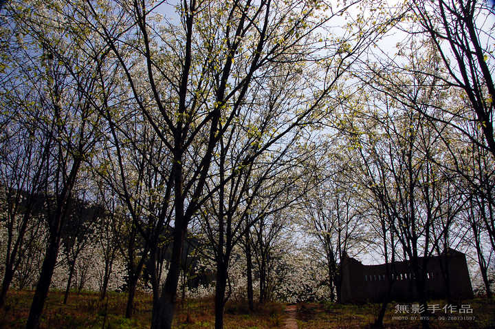DSC_0500.jpg