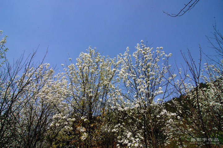 DSC_0511.jpg