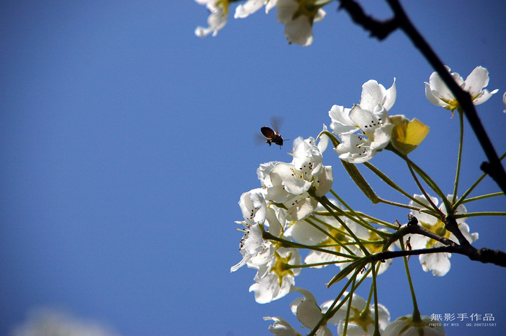 DSC_0540.jpg