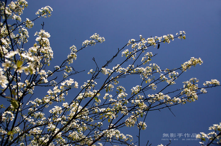 DSC_0544.jpg