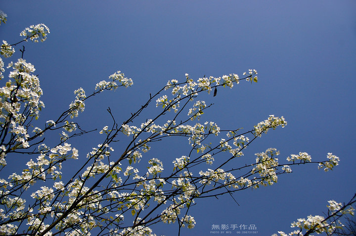 DSC_0543.jpg