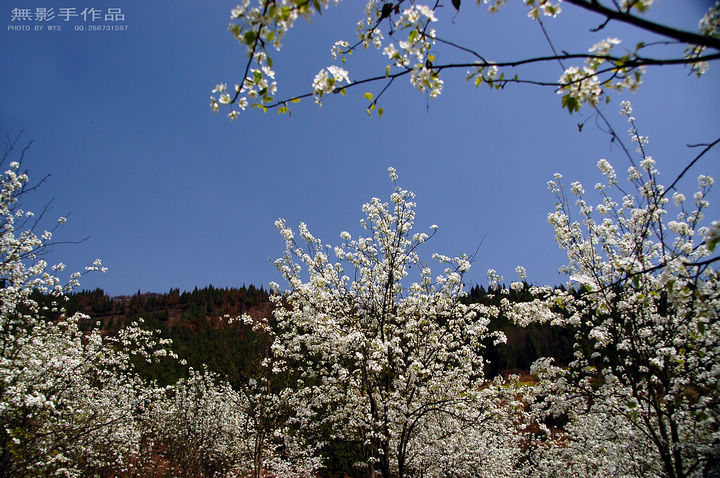 DSC_0555.jpg