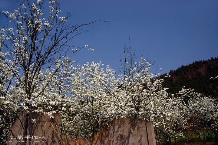 DSC_0558.jpg