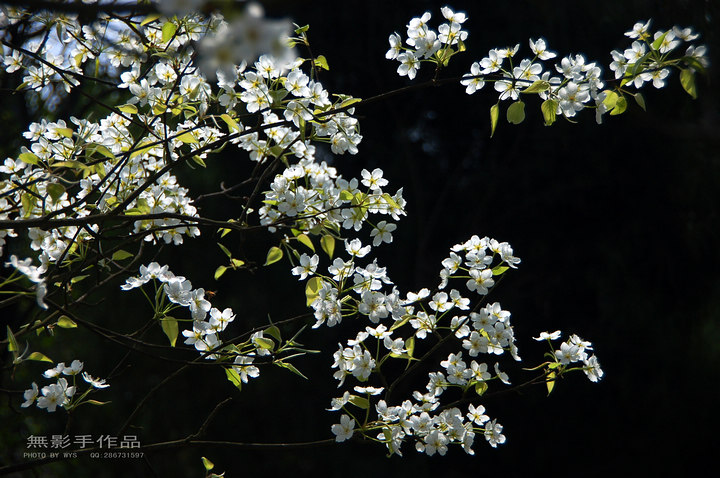 DSC_0561.jpg