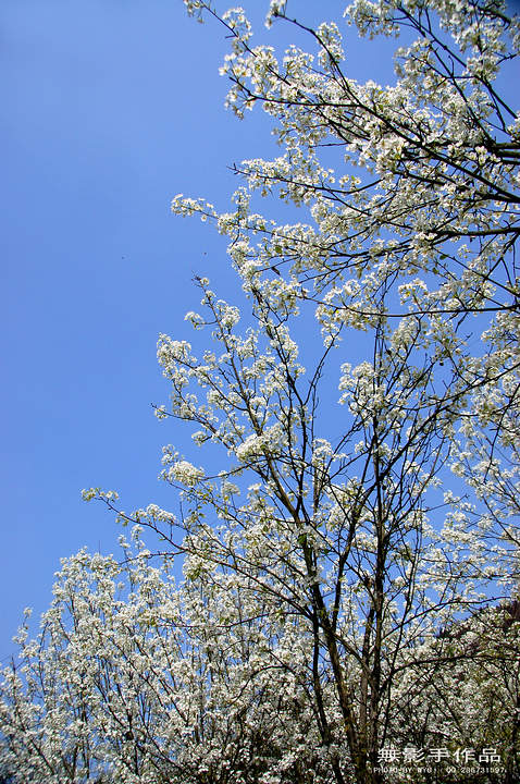 DSC_0565.jpg