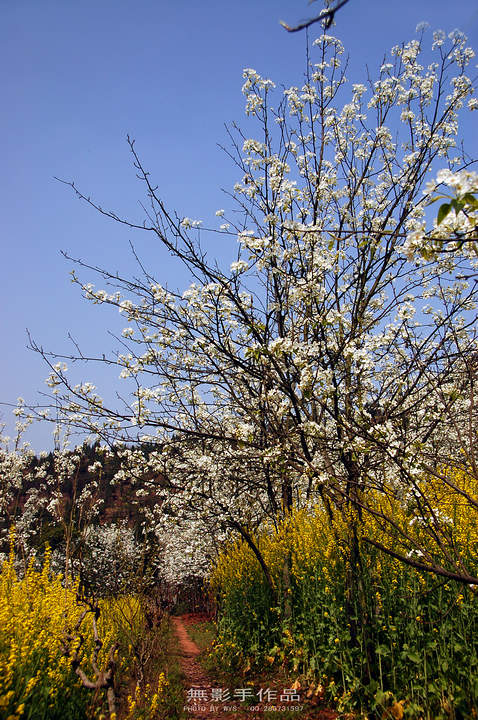 DSC_0572.jpg