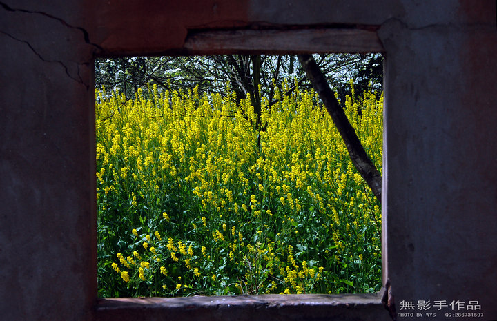 DSC_0576.jpg