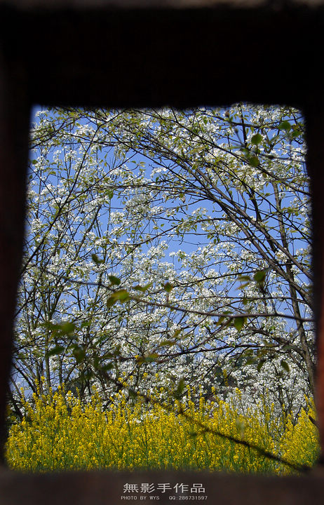 DSC_0578.jpg