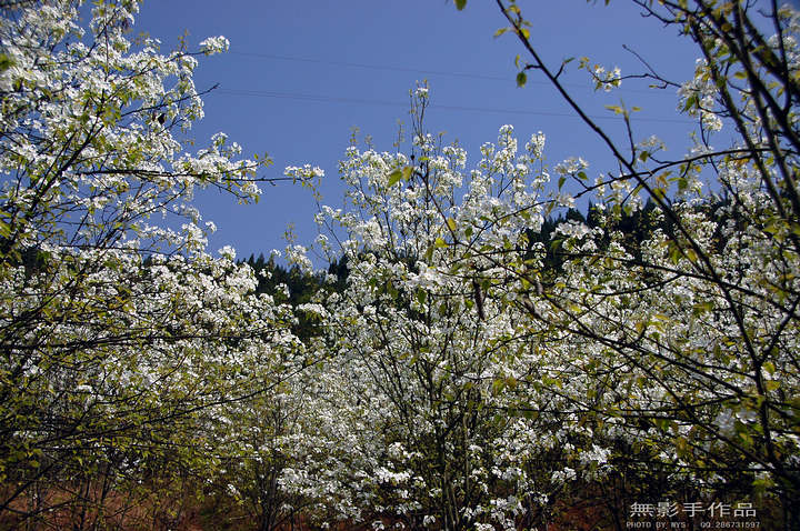DSC_0579.jpg
