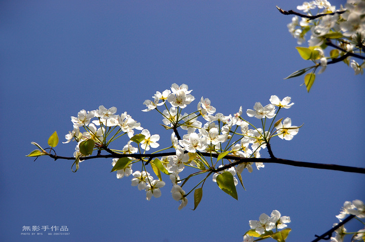 DSC_0584.jpg