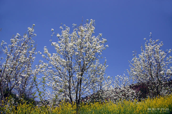 DSC_0590.jpg