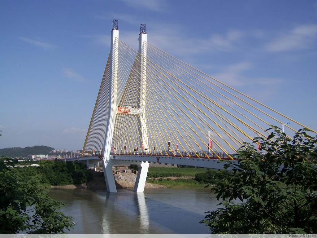 ų1586ף13.5ף˫4.jpg