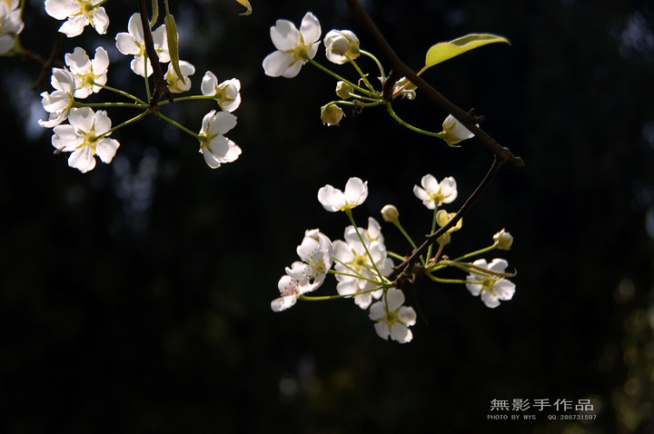 DSC_0607.jpg