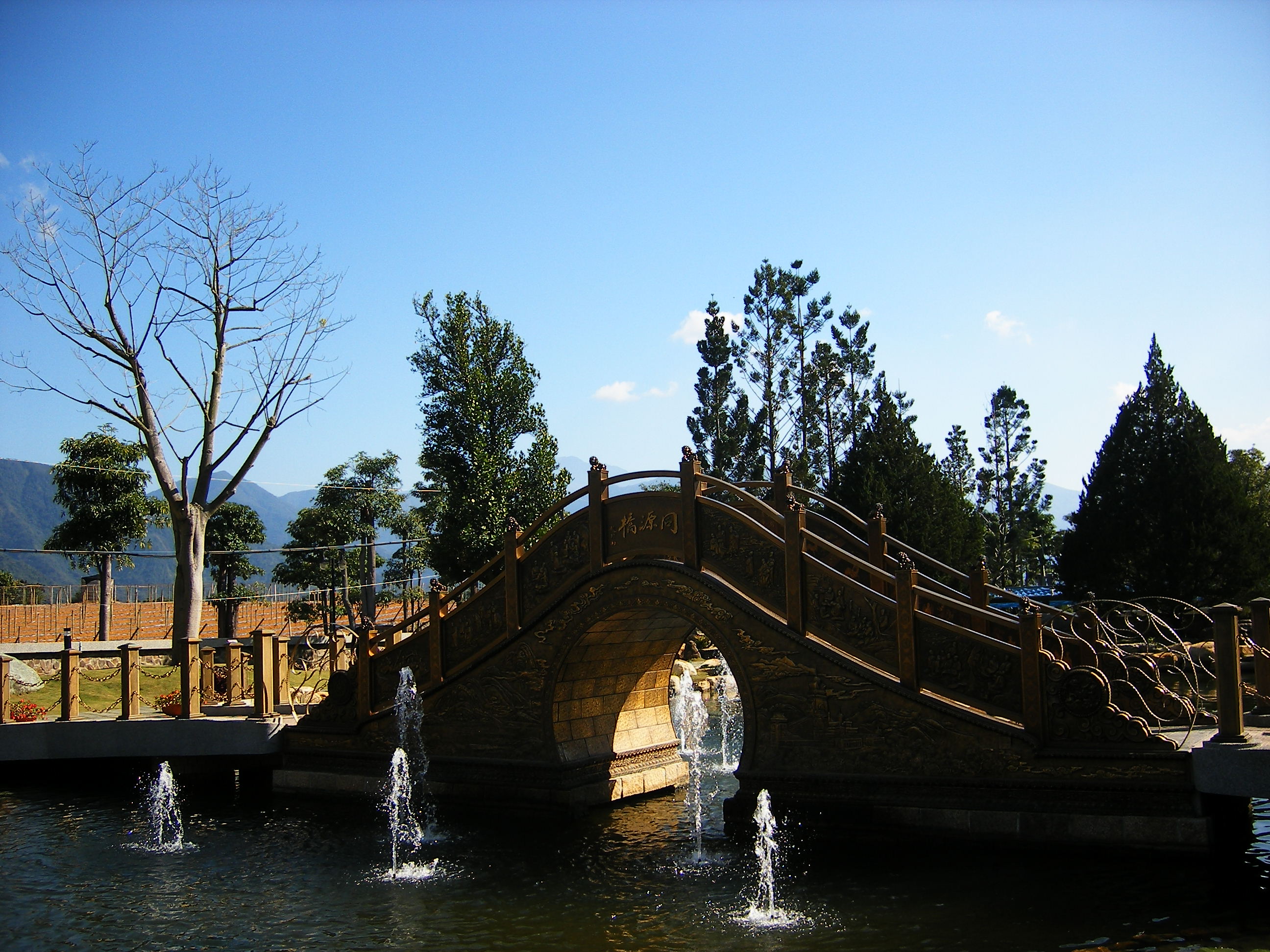 DSCF0359.JPG