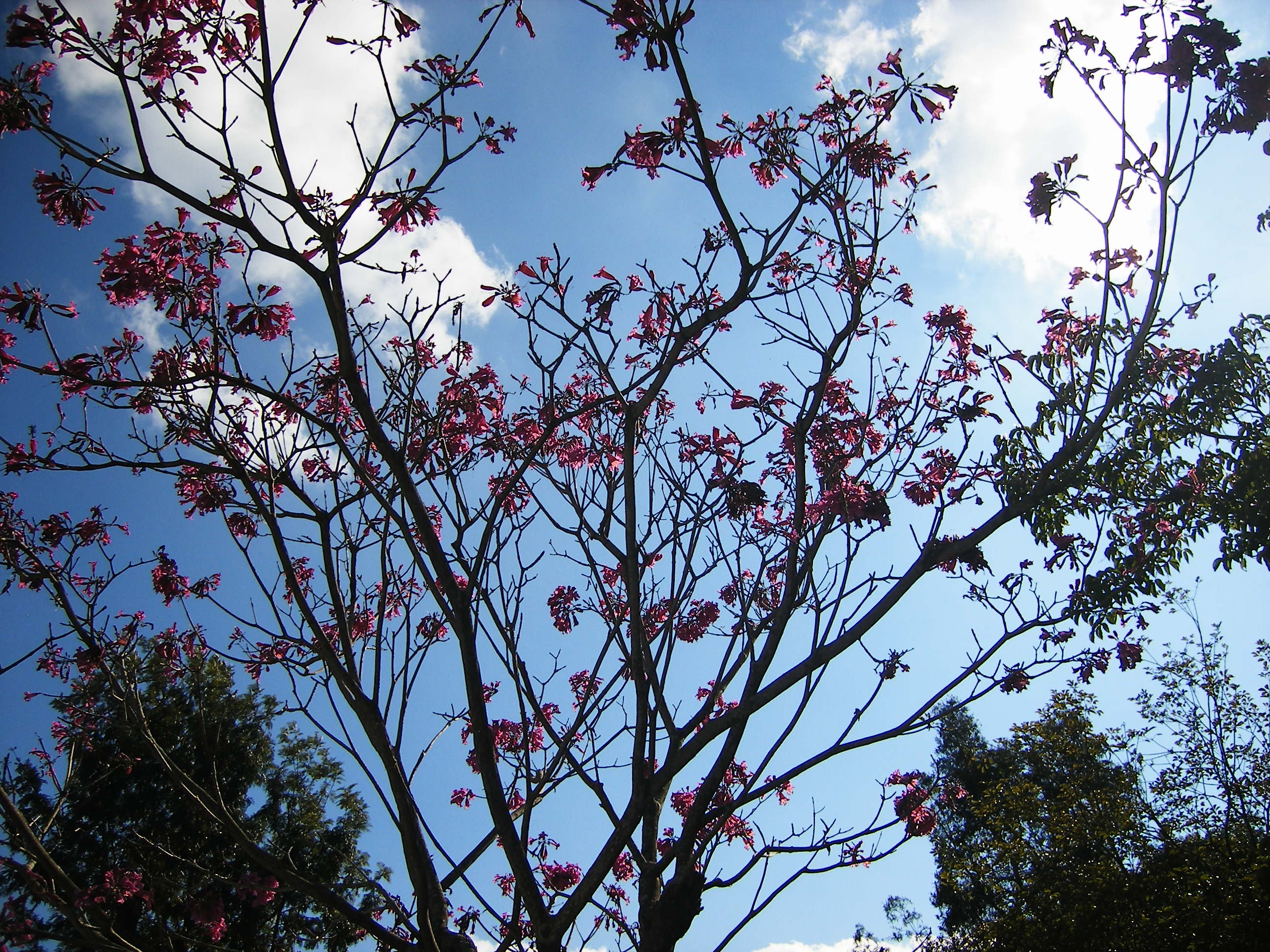 DSCF0363.JPG