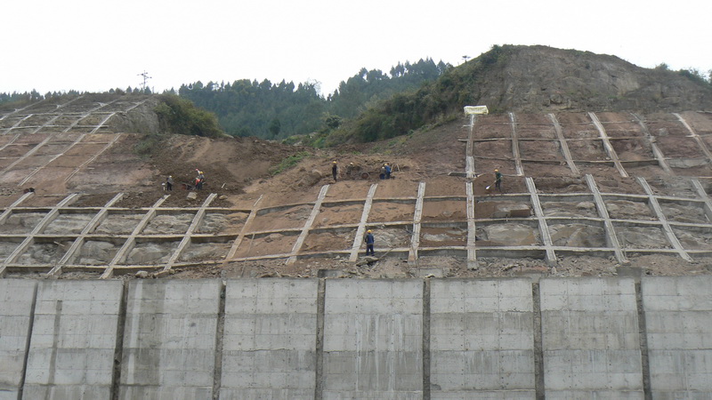 P1110738.JPG