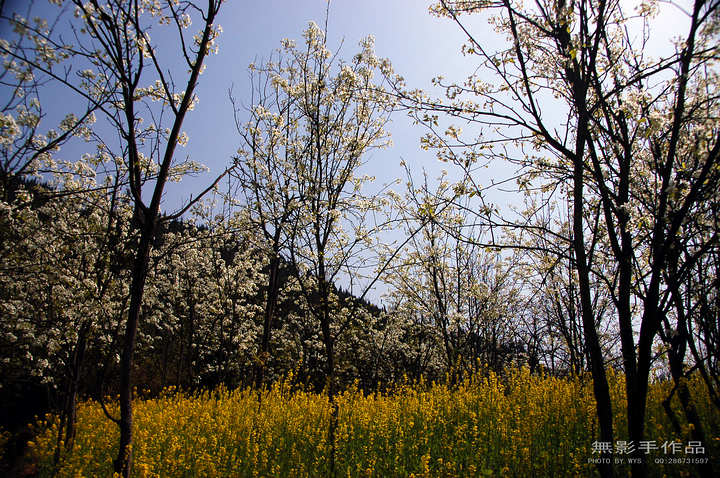 DSC_0610.jpg