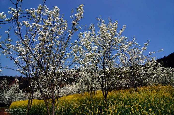 DSC_0623.jpg
