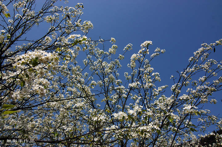 DSC_0680.jpg